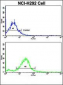 RARS2 Antibody (C-term)